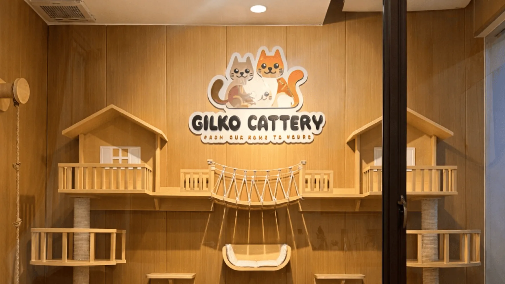 The Gilko Standard: Standar Sebelum Kitten Diadopsi