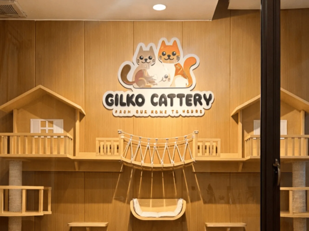 The Gilko Standard: Standar Sebelum Kitten Diadopsi