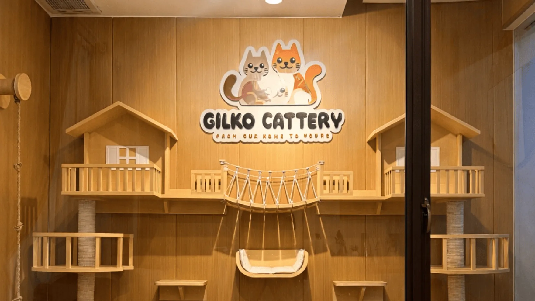 Bloodline Kucing: Artinya dan Cara Mengevaluasinya