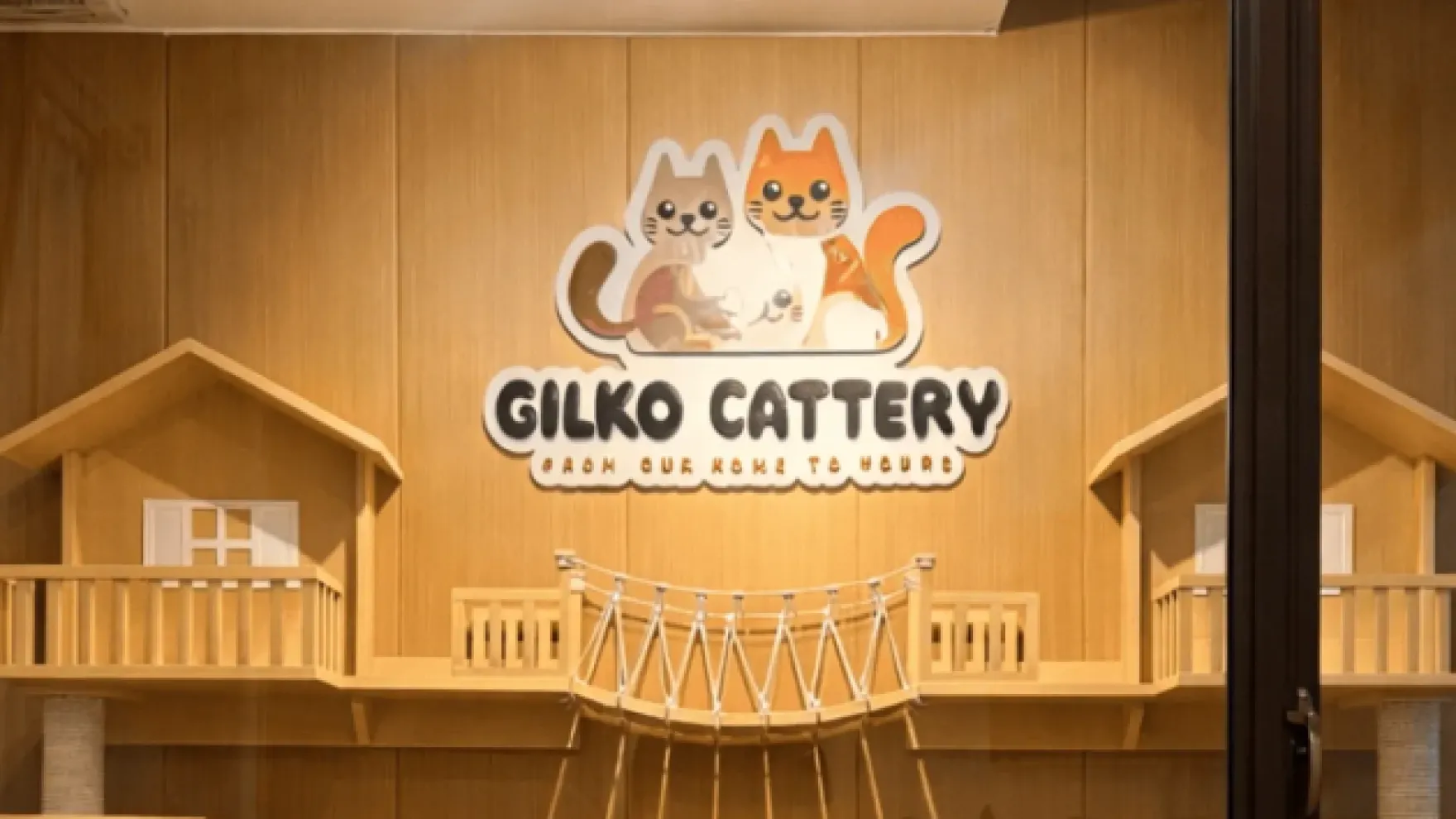 Cara Membaca Sertifikat Pedigree Kucing: Panduan Lengkap