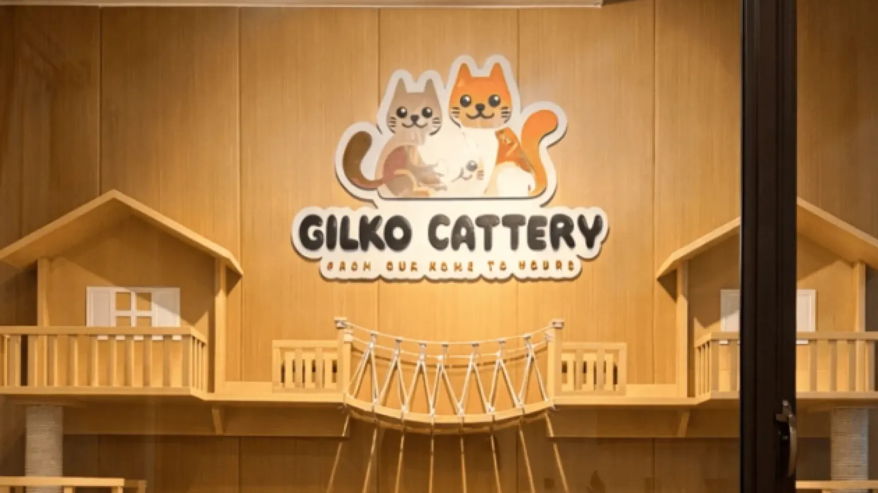 Apa Itu Silsilah Kucing? Pengertian Dasar Pedigree