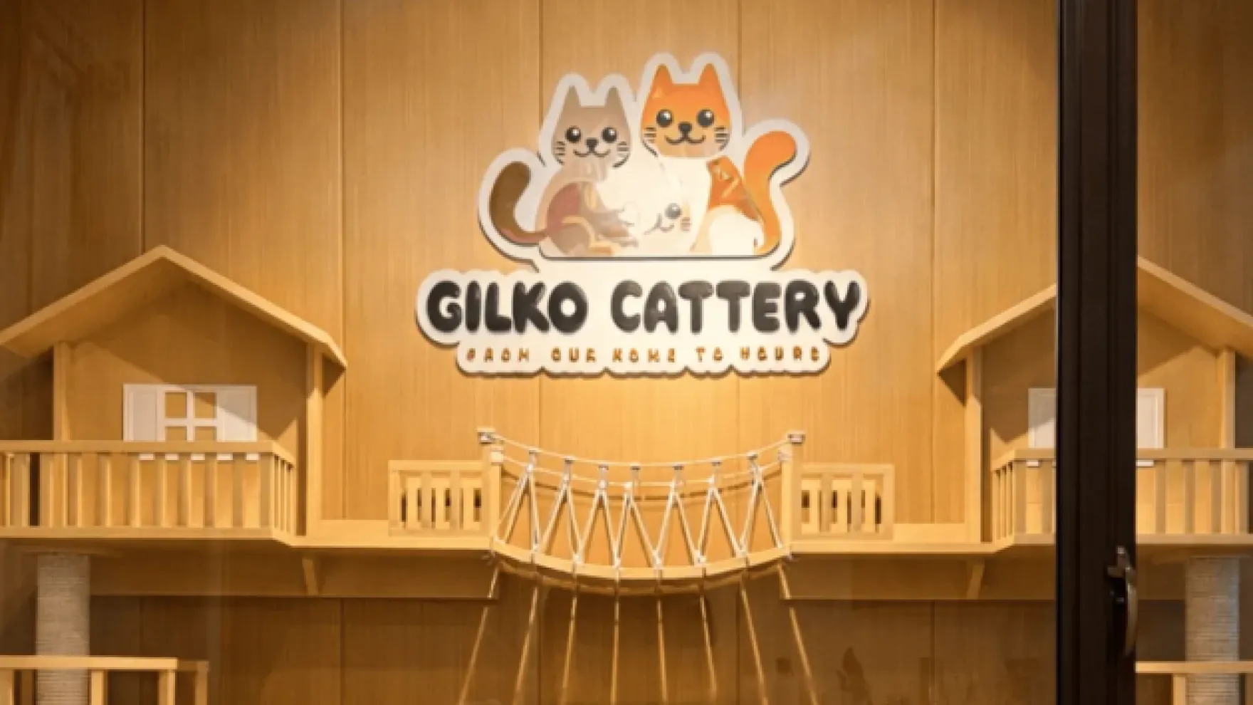 British Shorthair Tabby: Pola Bulu Bergaris yang Ikonik